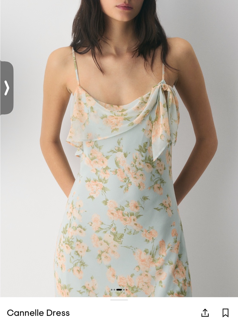 Aritzia - Wilfred - Cannelle - Floral Slip Dress in Pale Blue and Peach NWT